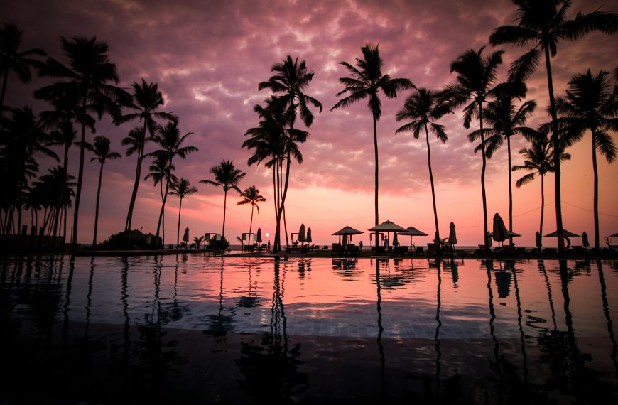Experience the Splendor of Hawaii; The Ultimate Winter Cruise Destination for 2024