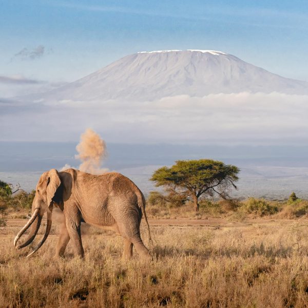 Top 10 Must-See National Parks in the World